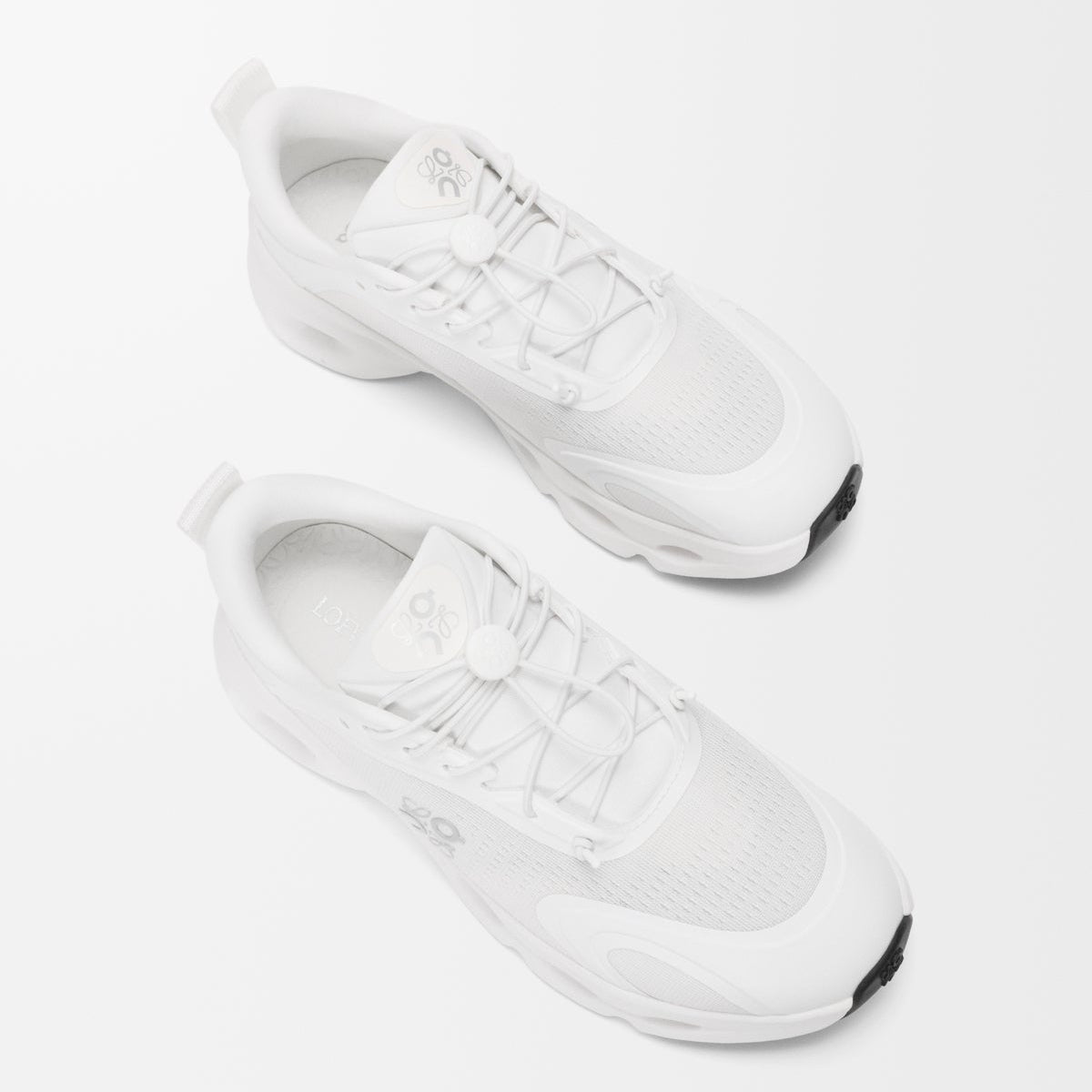 CS x LW
